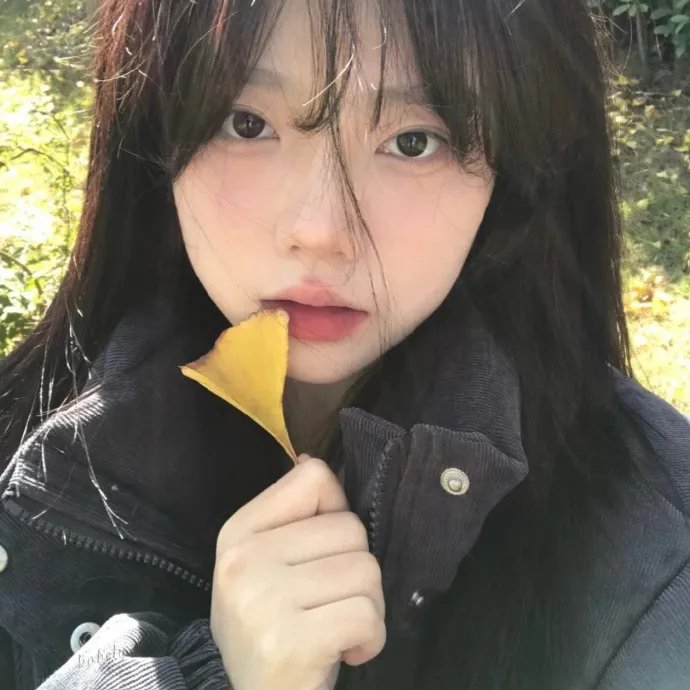 反贪风暴3